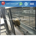 Poultry Layer Cage